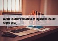 成都电子科技大学区块链公司[成都电子科技大学高新区]